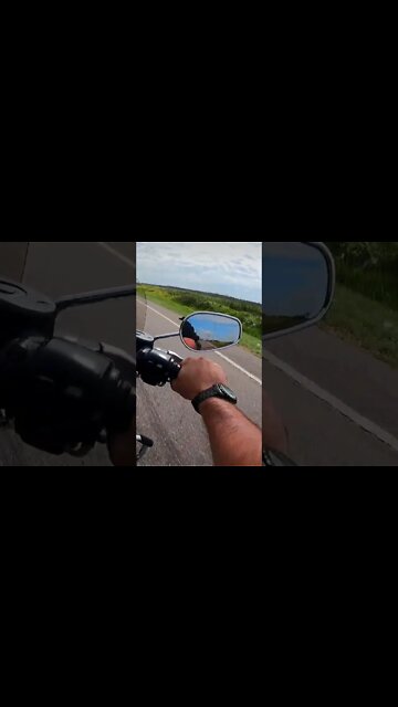 first time seeing a dead alligator on my harley