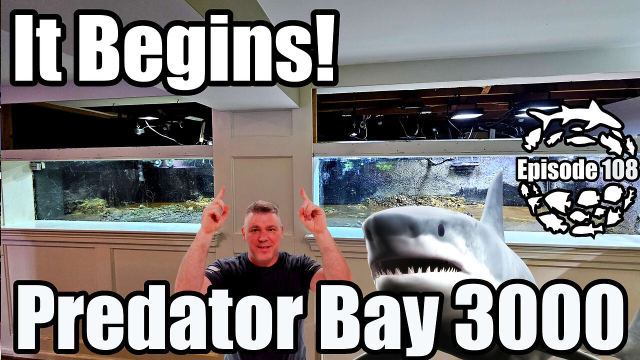 Massive 3000 Gallon Marine Predator Aquarium Build, Predator Bay 3000 Starts Now!