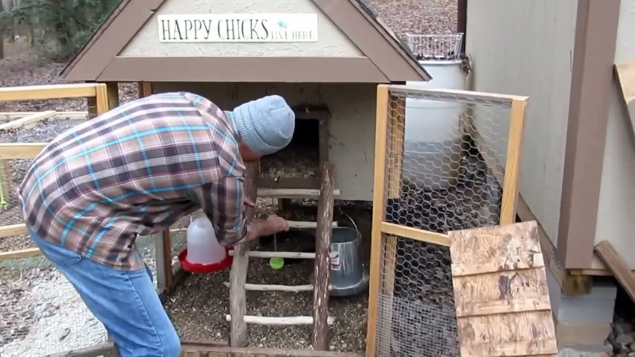 DIY Chicken Ladder Made From Beaver Sticks