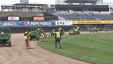 Royals crews finish up massive field renovation