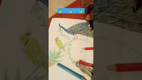 best panties for students #shots_video #youtubeshorts