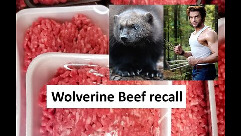 Wolverine Ground beef recall