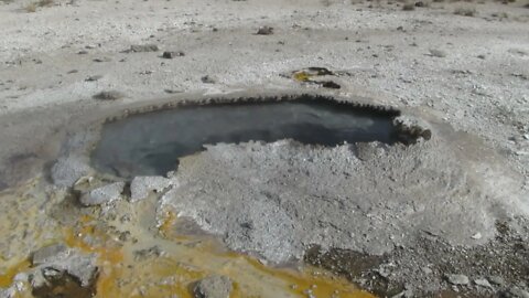 Ear Spring in Yellowstone