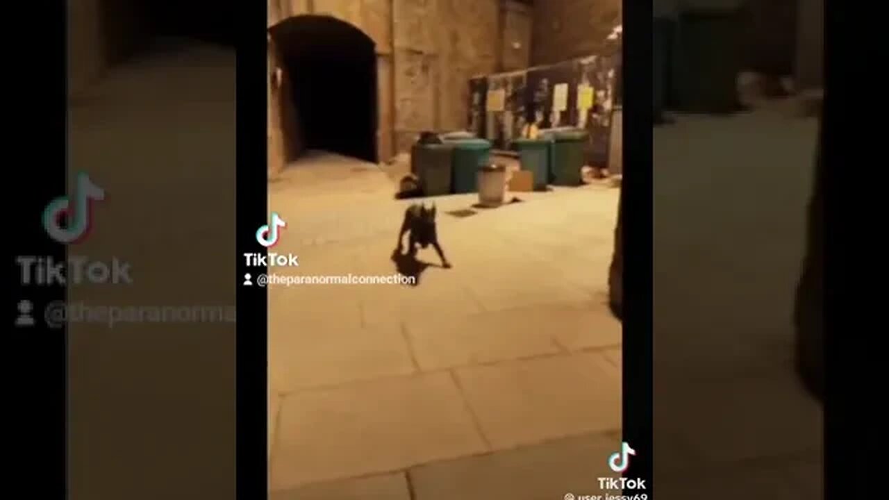 The Shapeshifter