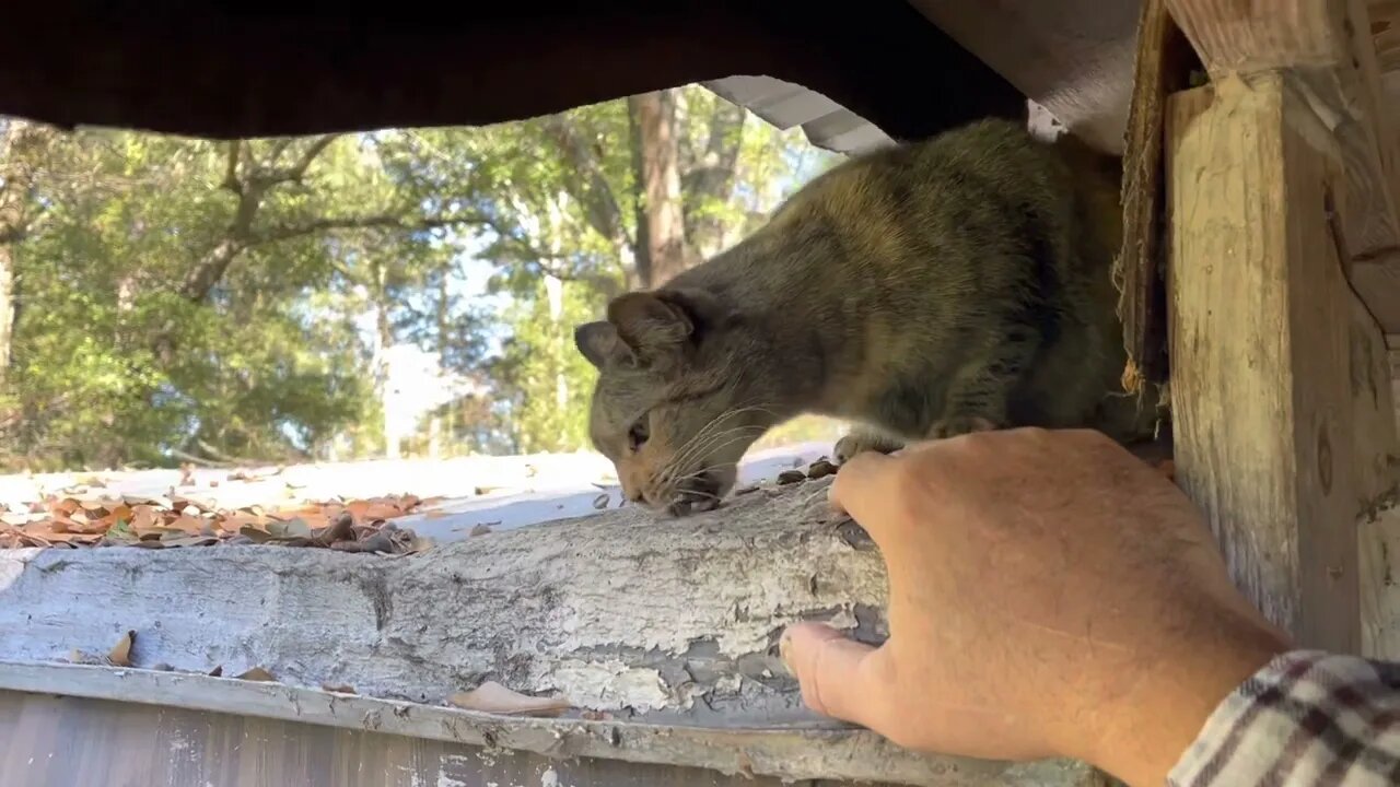 Soon, she’ll be sitting in my lap.