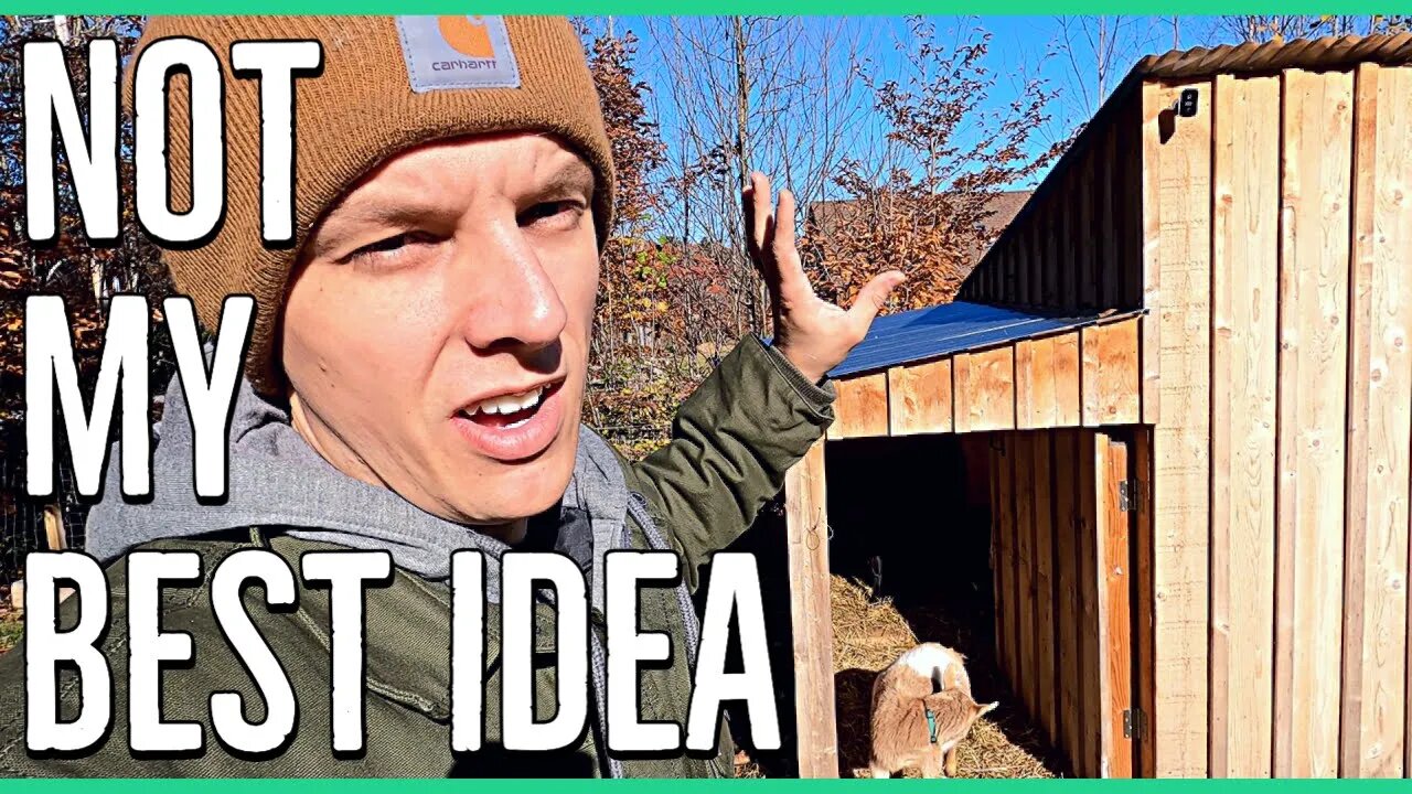 What would I change about the goat shed?