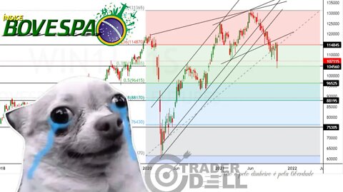 ÍNDICE BOVESPA O QUE EPERAR APOS QUEDA ? VALE APENA DOLARIZAR-SE AGORA + MERCADO AMERICANO