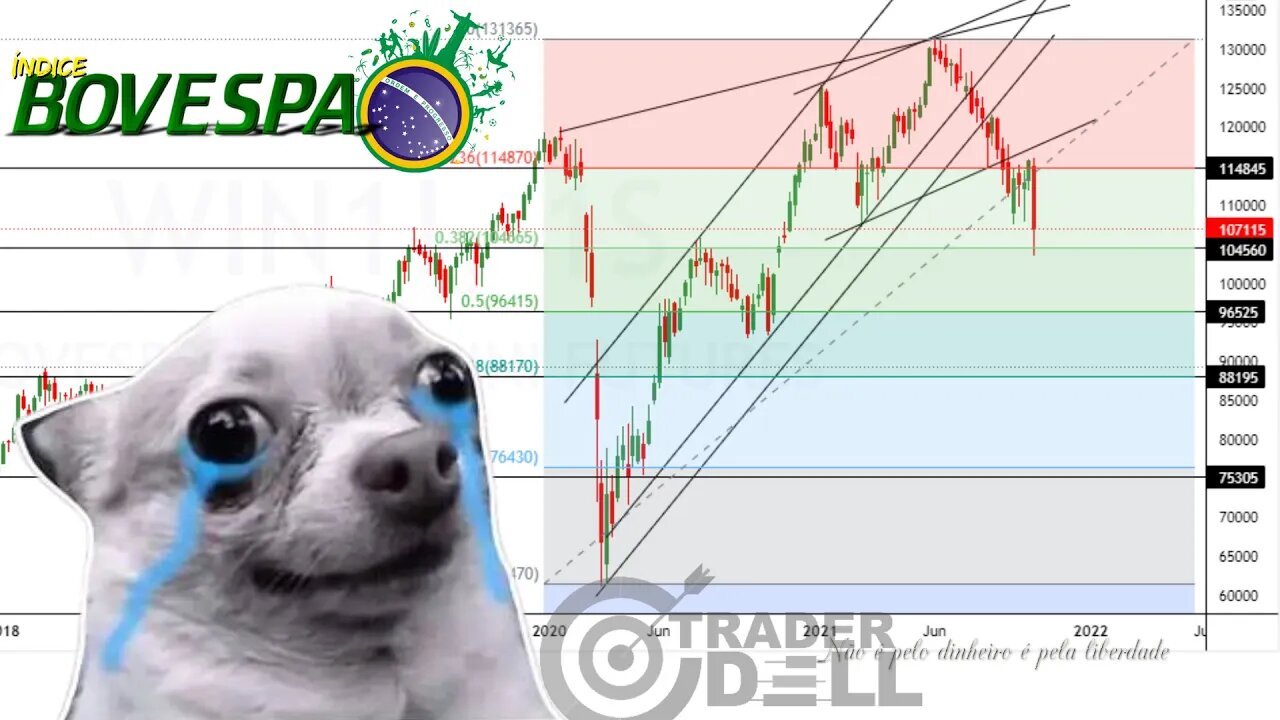 ÍNDICE BOVESPA O QUE EPERAR APOS QUEDA ? VALE APENA DOLARIZAR-SE AGORA + MERCADO AMERICANO