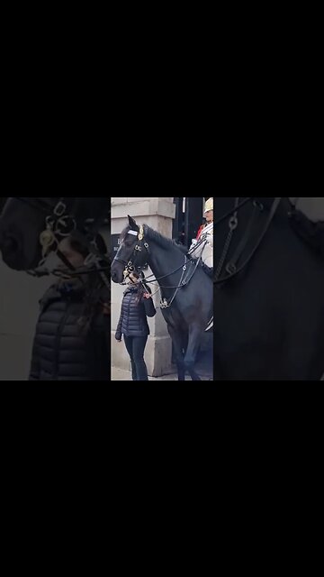 Don't hold the Reins #horseguardsparade