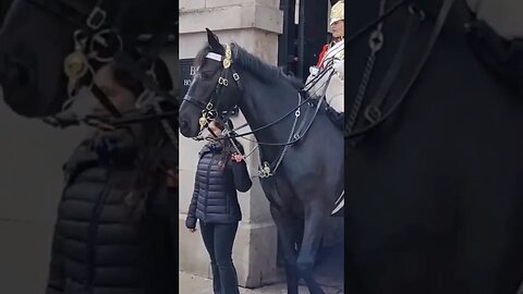 Don't hold the Reins #horseguardsparade