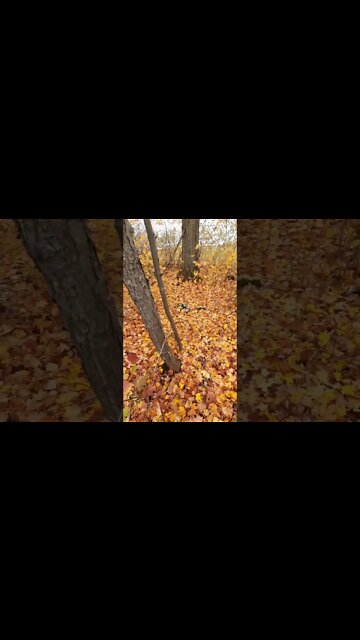 #positiveenergy #healingvibes #strangedvlog