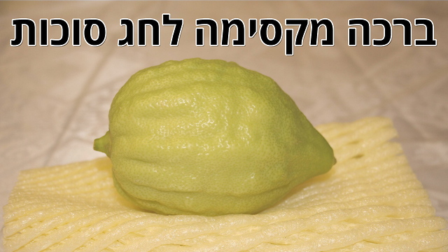 ברכה מרגשת לכבוד חג סוכות