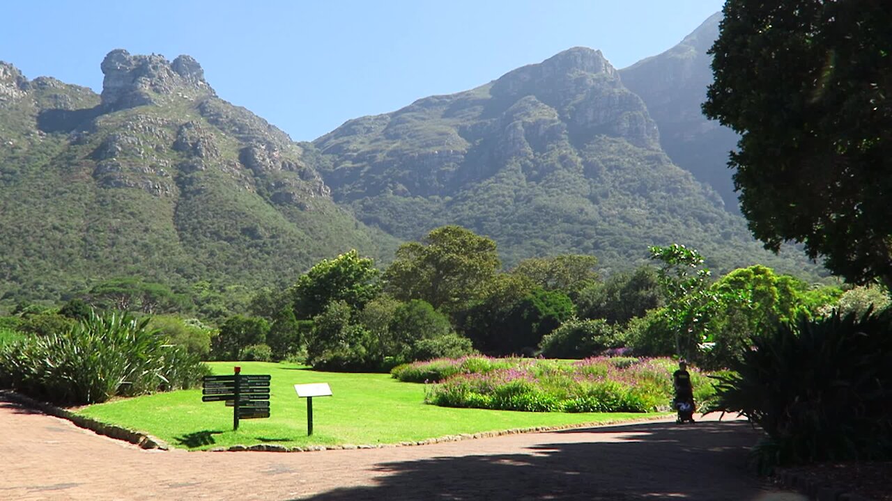 SOUTH AFRICA - Cape Town - Kirstenbosch National Botanical Garden (Video) (vqw)