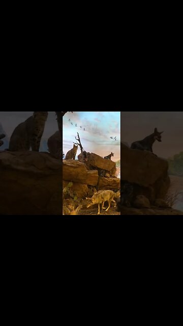 The Champion Ranch in Brady Texas was INCREDIBLE