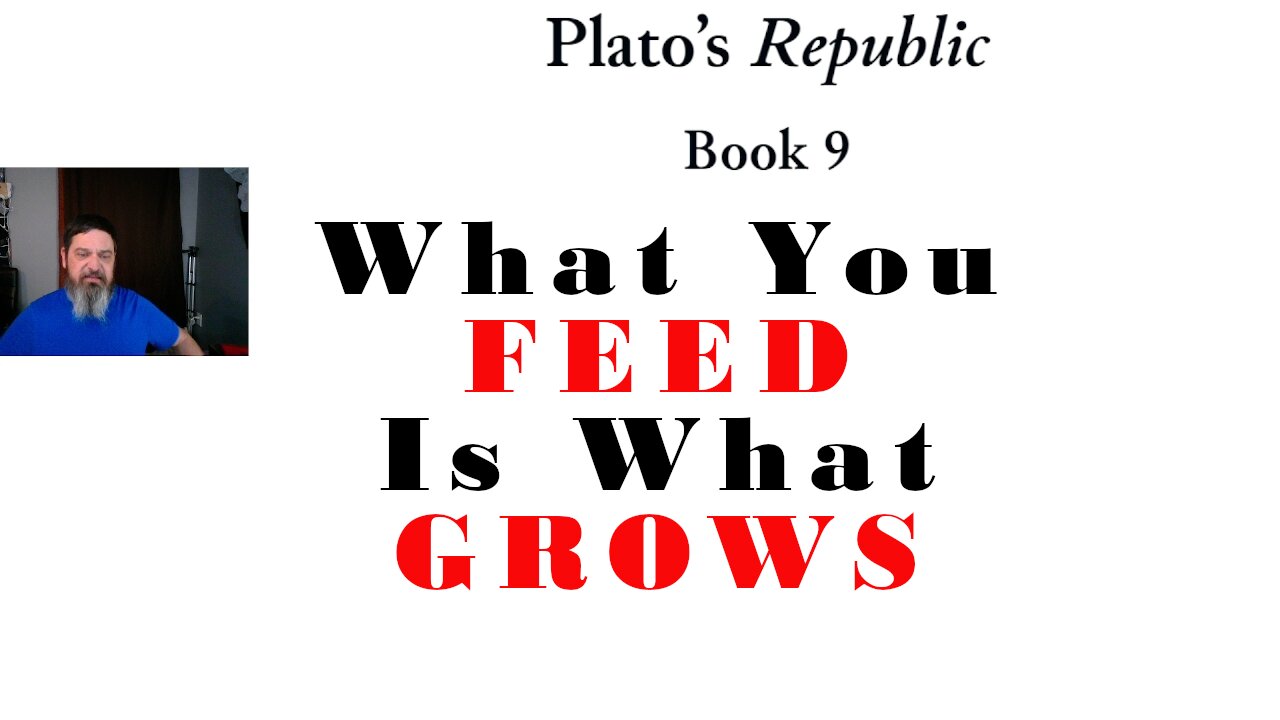 PittCast: The Part You Feed Is The Part That Grows (Plato's Republic Book 9 pt. 2)