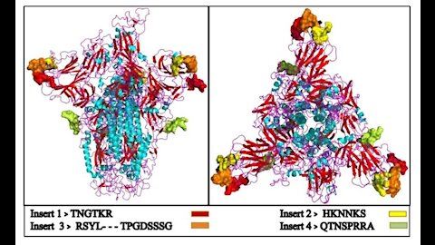 Australian Shelved C-19 Vaccine gave HIV False Positives? Epstein, Harvard, NIAID, Dr. Church