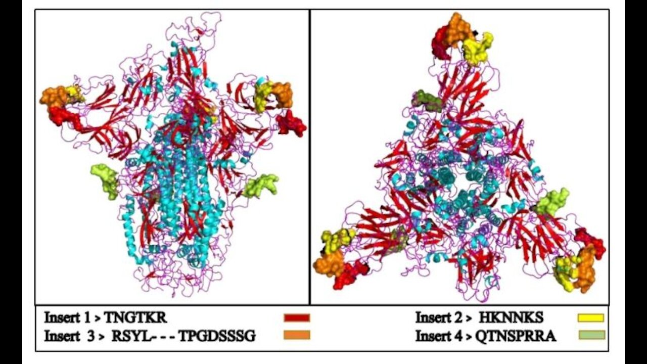 Australian Shelved C-19 Vaccine gave HIV False Positives? Epstein, Harvard, NIAID, Dr. Church