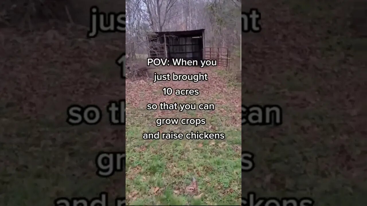 Bought 10 Acres