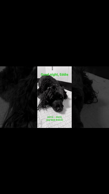 “… I’d sing for you, just one more time…”