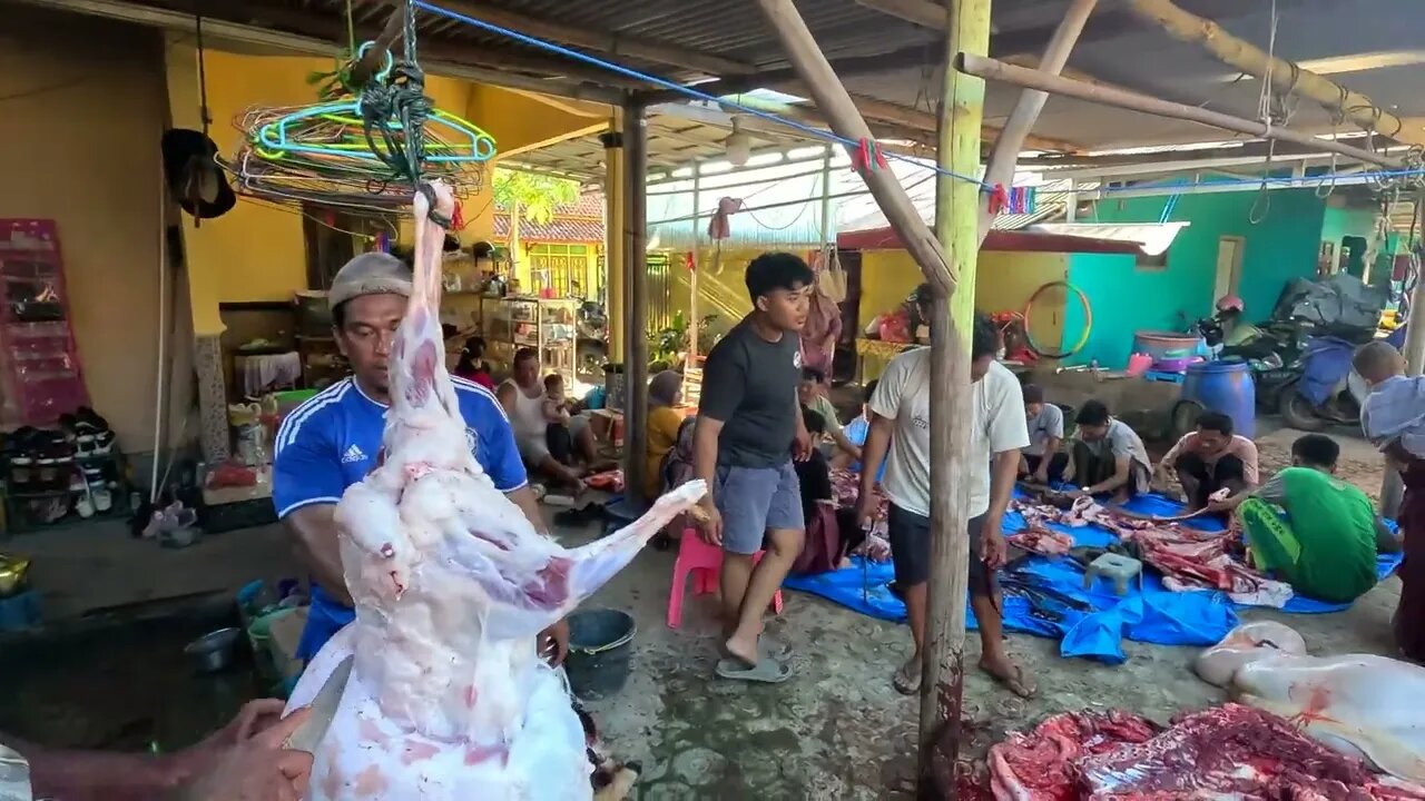 Proses Netel Daging Kurban Sapi Bali di Rumahnya Abang Uwais