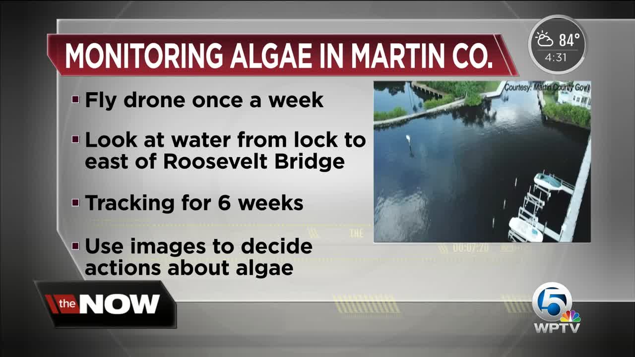 Monitoring algae in Martin County