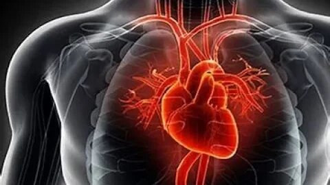 Heart failure high amongst trans people