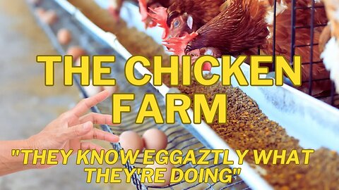 The Chicken Farm - They Know Eggaztly What They Are Doing