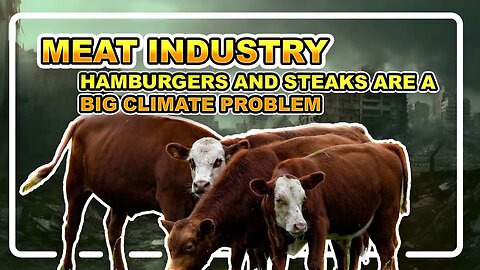 Hamburgers and steaks are a big climate problem