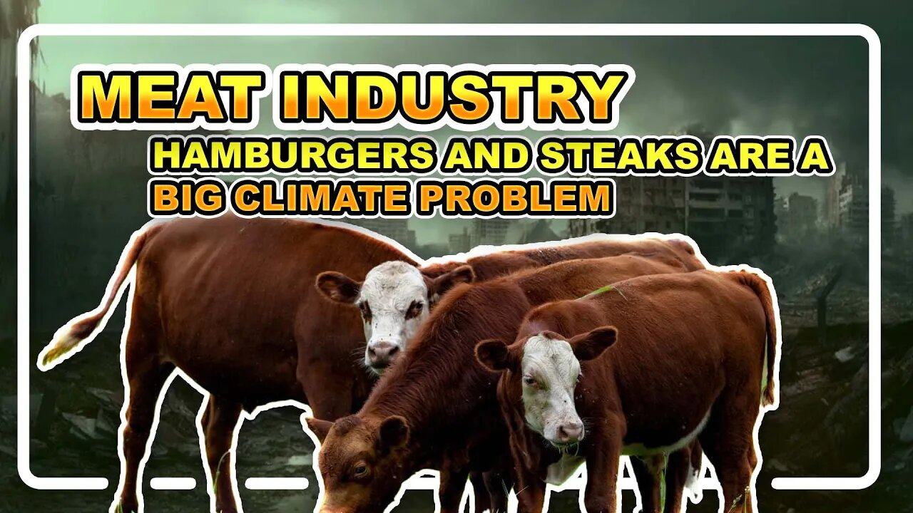 Hamburgers and steaks are a big climate problem