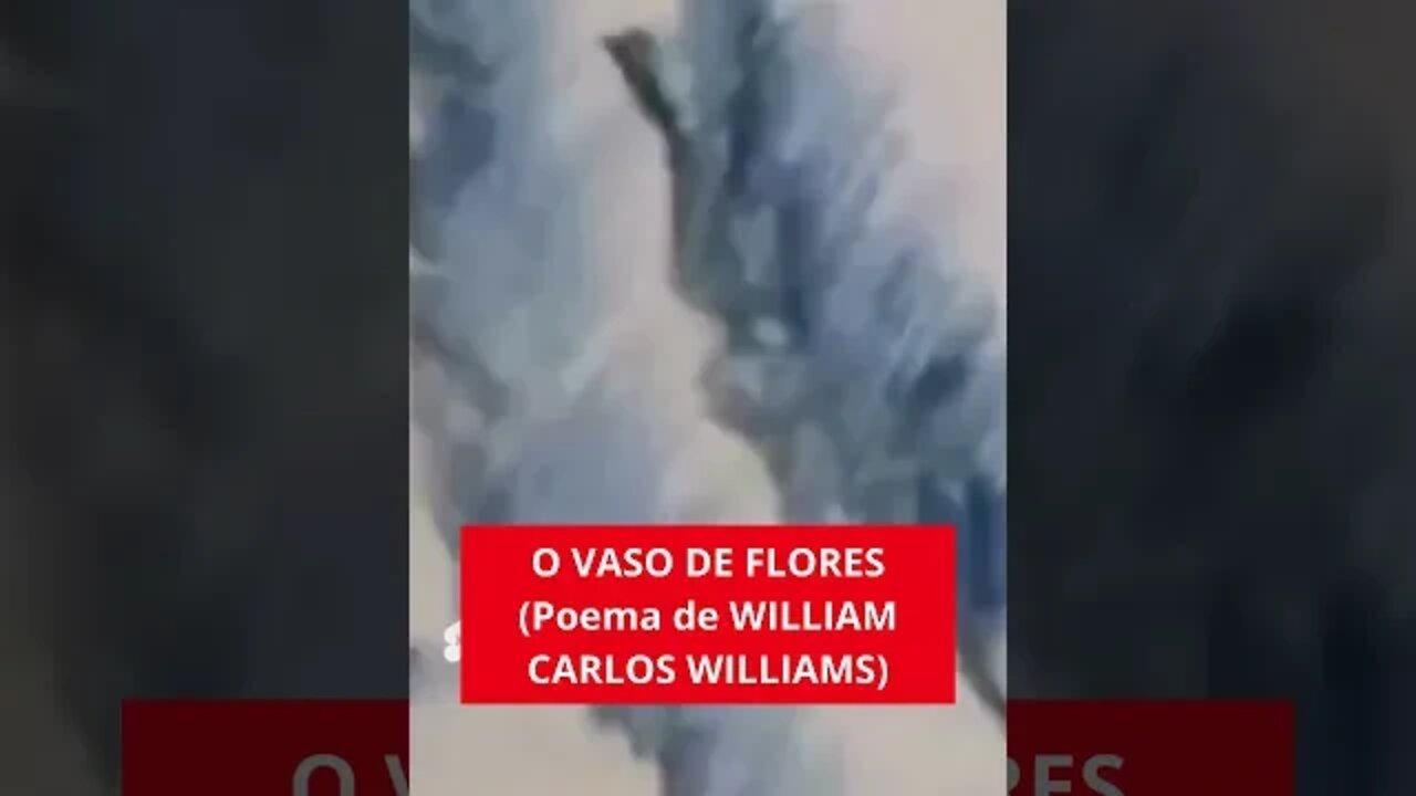 O VASO DE FLORES (POEMA DE WILLIAM CARLOS WILLIAMS)