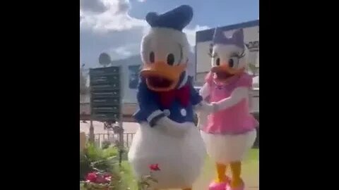 Donald Duck gets cheated on