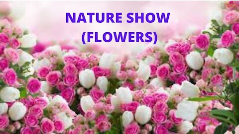 nature show (flowers)