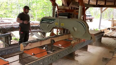 Norwood MX34 gigantic pine