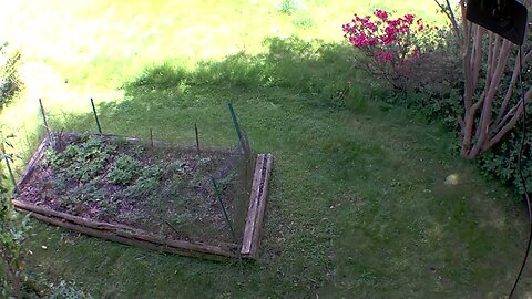 NORTH_VIDEO_DOOR_BELL_2023-05-16T11_44_23-0400.mp4