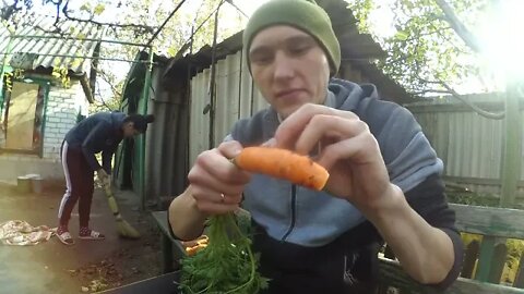 Яблоко в микроволновки Целый день жру овощи и фрукты Убрали всю территорию