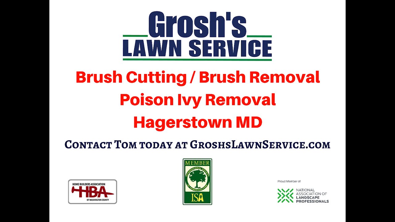 Brush Cutting Hagerstown MD Brush Removal Landscaping Contractor