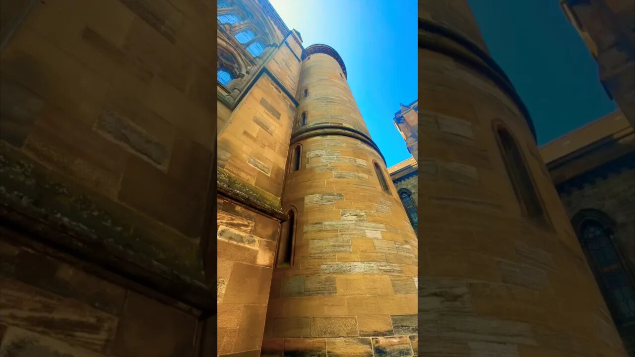 Just another day at Hogwarts 🏴 | 🎧Eight of Lions by Pamela Storch