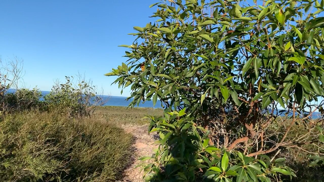 Take a breath in Nature and unlock your potential