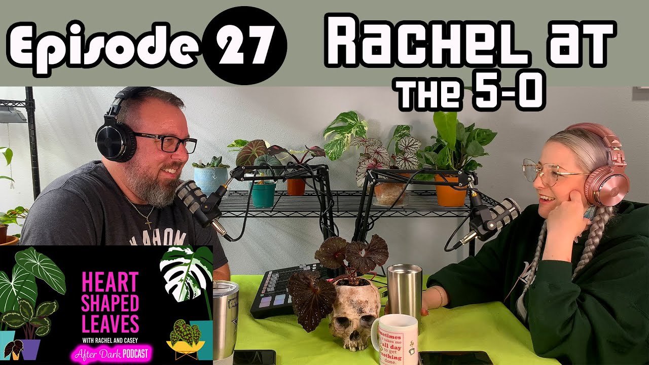 Rachel at the 5-0 & Casey's a Kickie Punchie Machine - HSL After Dark Podcast Ep 27