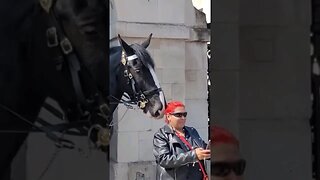 The kings guard moves this tourist on #horseguardsparade