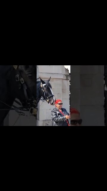 The kings guard moves this tourist on #horseguardsparade