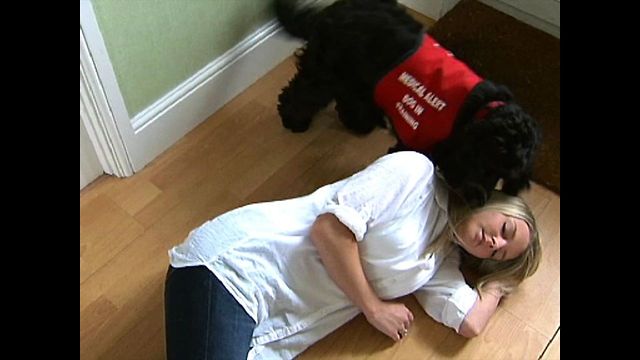 Dog Wakes Lady With Narcolepsy