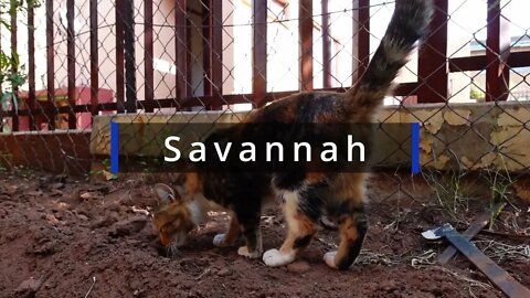 Savannah Struts her stuff