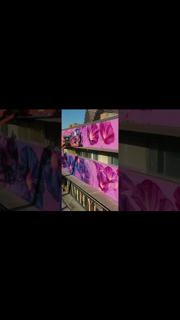 Artist Emily Ding paints morning glories #mural at the Plaza Parkway Building in Kansas City, MO