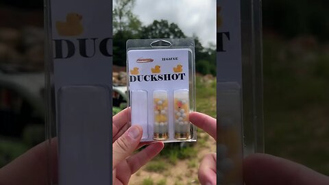 12 Gauge “DUCKSHOT”