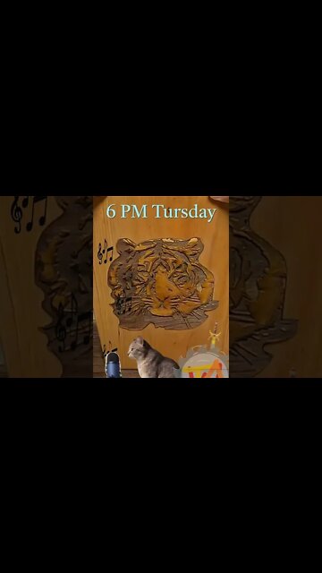 knife board short check out full build video on Thursday 6PM