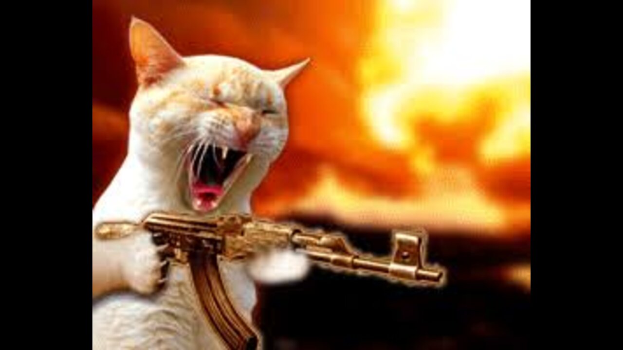 I made my cat so mad π‘πΊπ