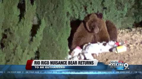 Arizona Game and Fish to kill nuisance bear