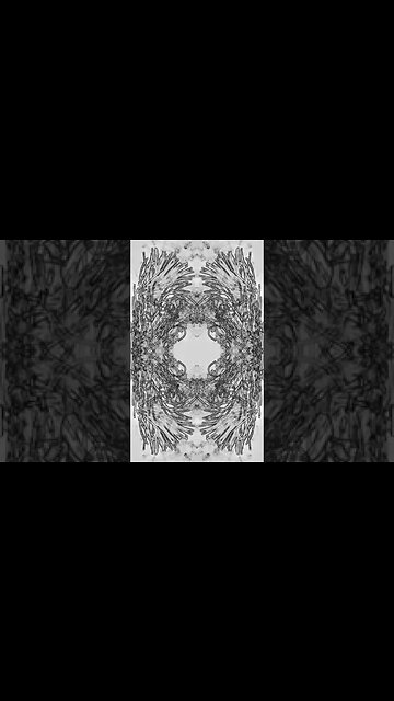 Magic fluids: perfect symmetry #18