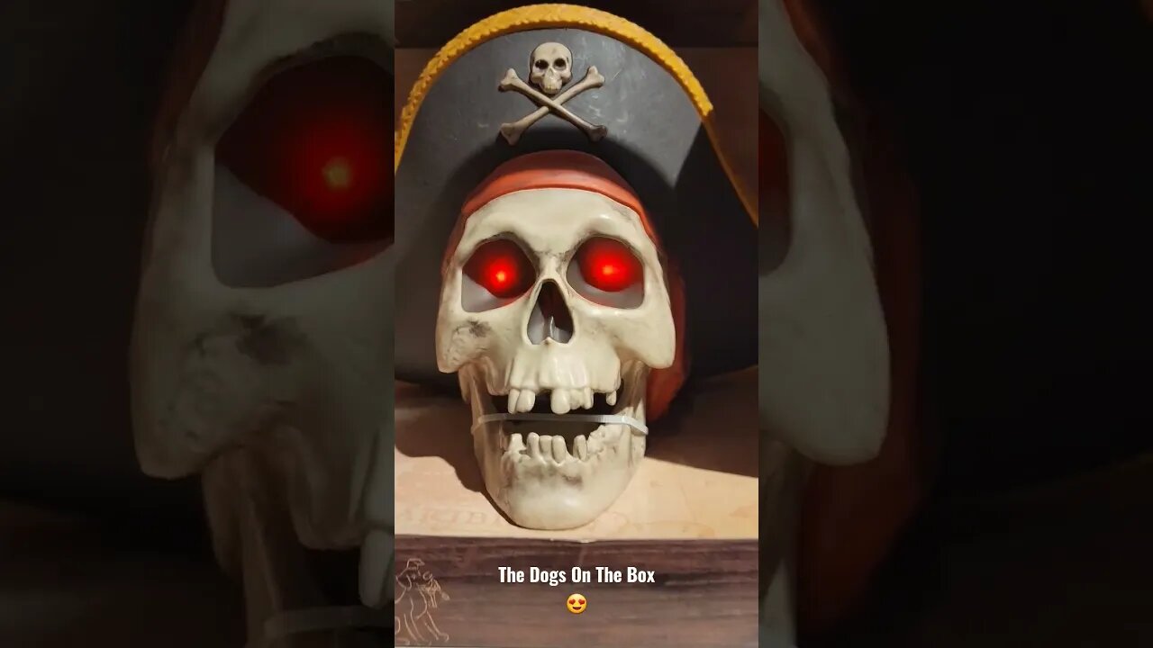 Solid Advice From Awesome Pirates Halloween Decor.
